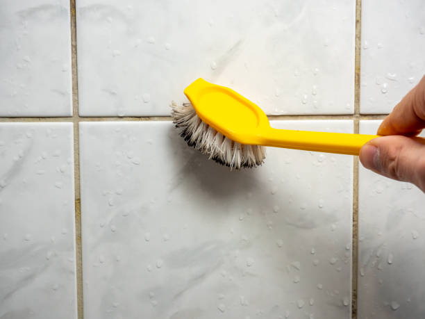 Best Mold Removal Company Near Me  in Chrisman, IL