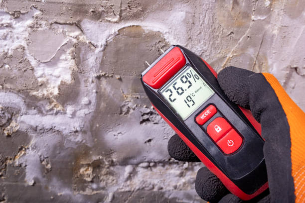 Best Mold Removal Specialists  in Chrisman, IL