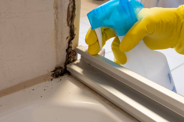 Crawl Space Mold Removal in Chrisman, IL