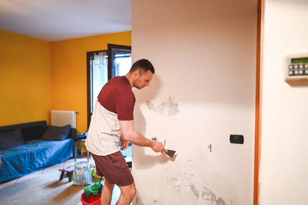 Best Black Mold Removal  in Chrisman, IL